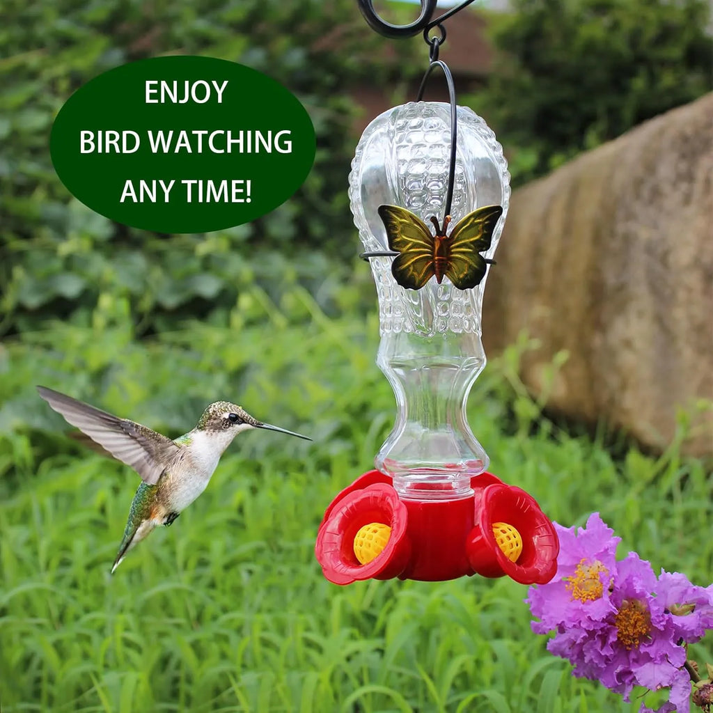 Glass Hummingbird Feeder Ant Moat