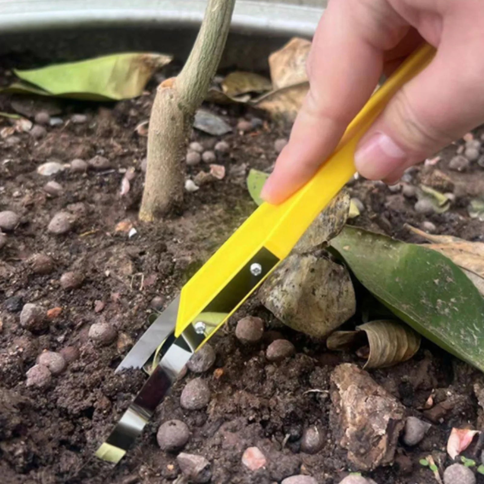 Iron Loop Handle Weeder Tool