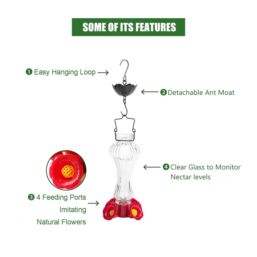 Glass Hummingbird Feeder Ant Moat