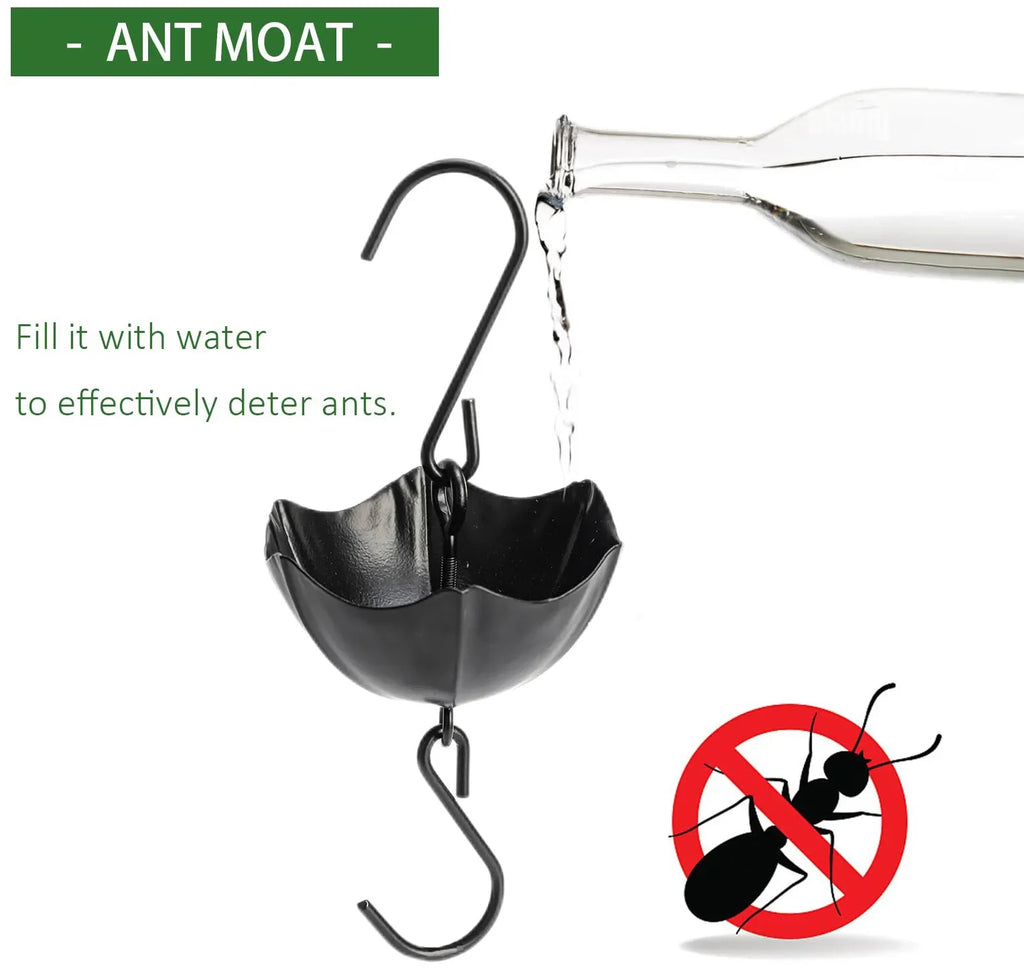 Glass Hummingbird Feeder Ant Moat
