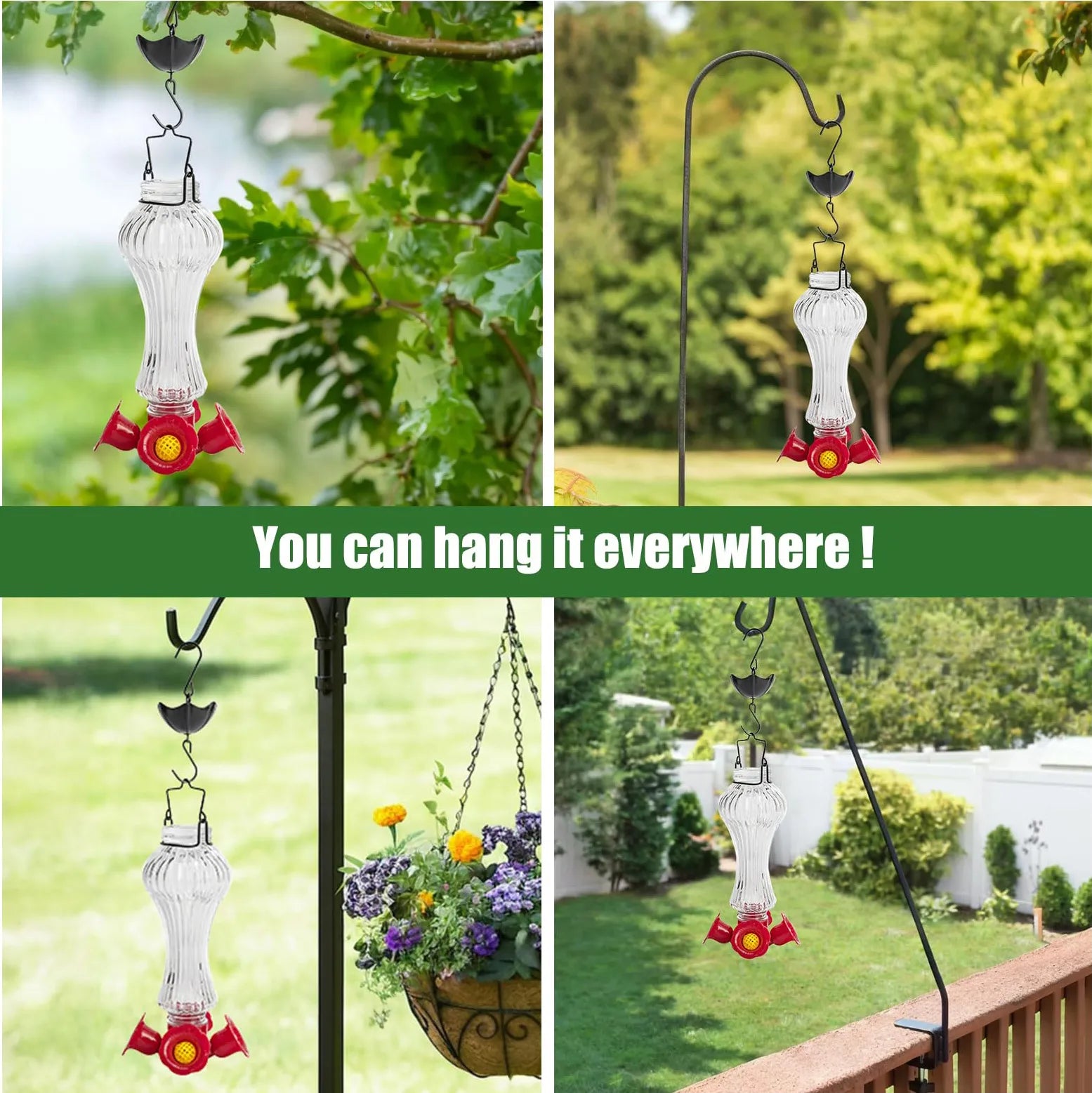 Glass Hummingbird Feeder Ant Moat