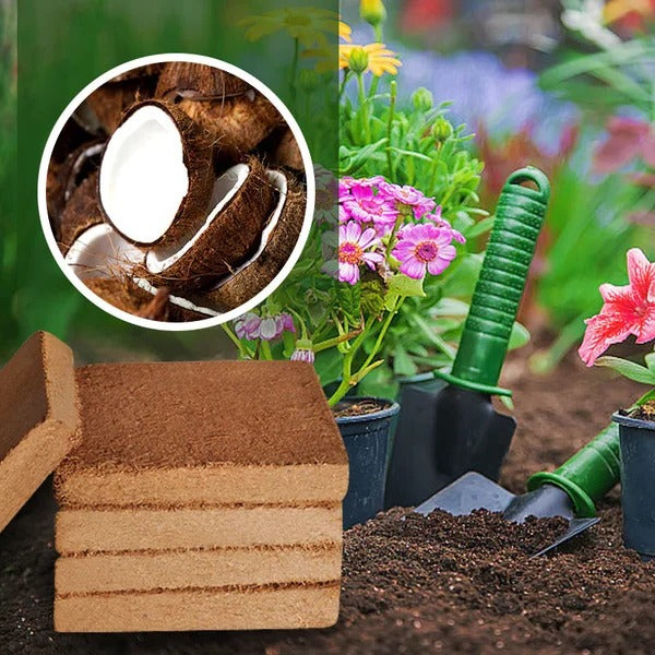 Organic Coconut Coir for Plants